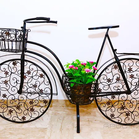 Apulia 70 Holidays - & Experiences Polignano a Mare