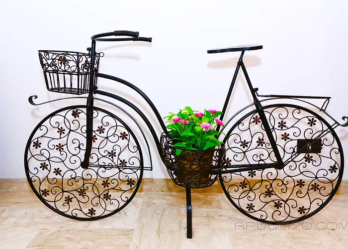 Apulia 70 Holidays - & Experiences 滨海波利尼亚诺