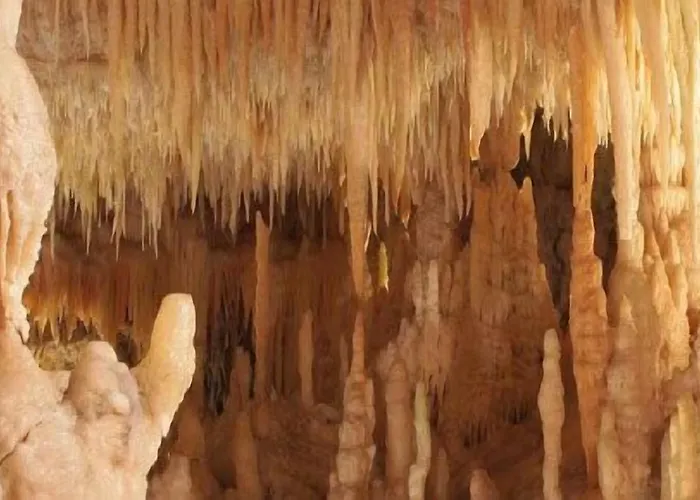 Apulia 70 Holidays - & Experiences 滨海波利尼亚诺