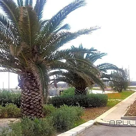 Apulia 70 Holidays - & Experiences B&B 3*