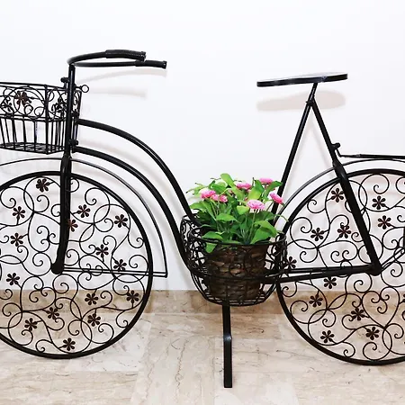 Apulia 70 Holidays - & Experiences Bed & Breakfast 4*
